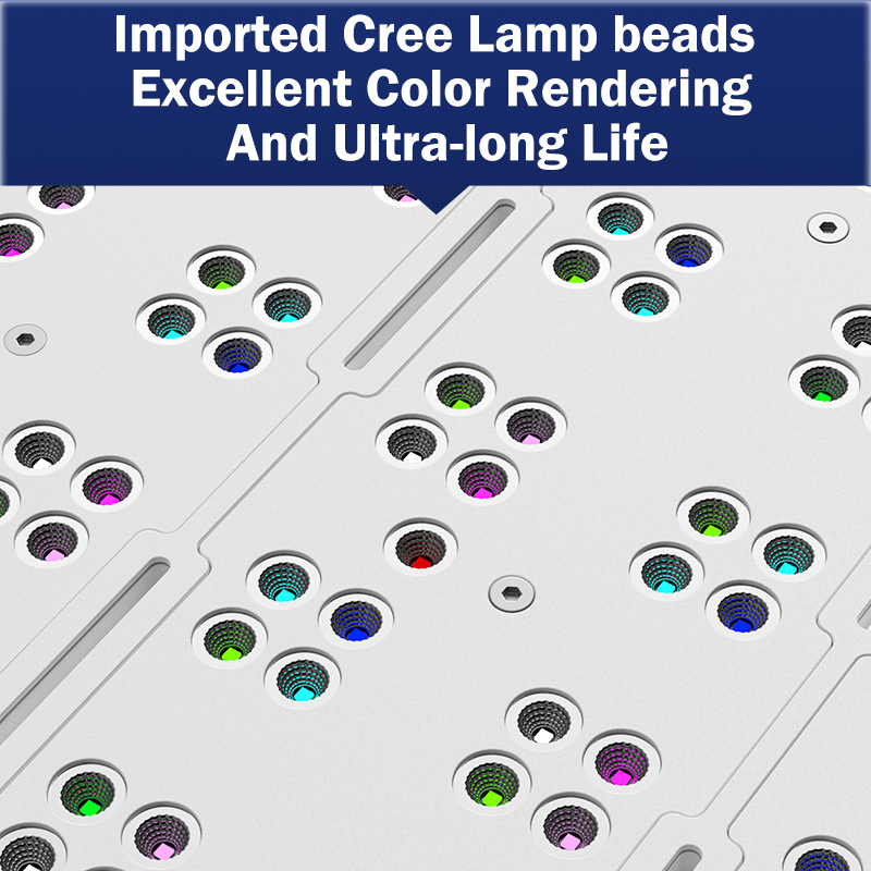 Marine Aquarium & Regional Centre Reviews - Lampada LED KASSRAY T169/T215 CREE a