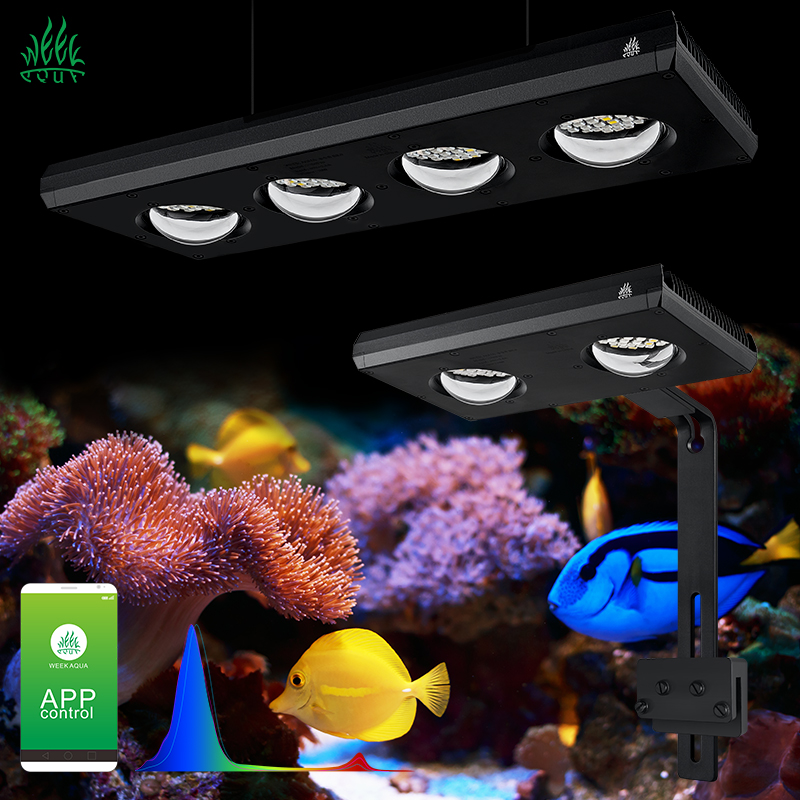 Aquarium Marine Blue - ZXY Vendita Calda WEEKAQUA Z250 Z400sea