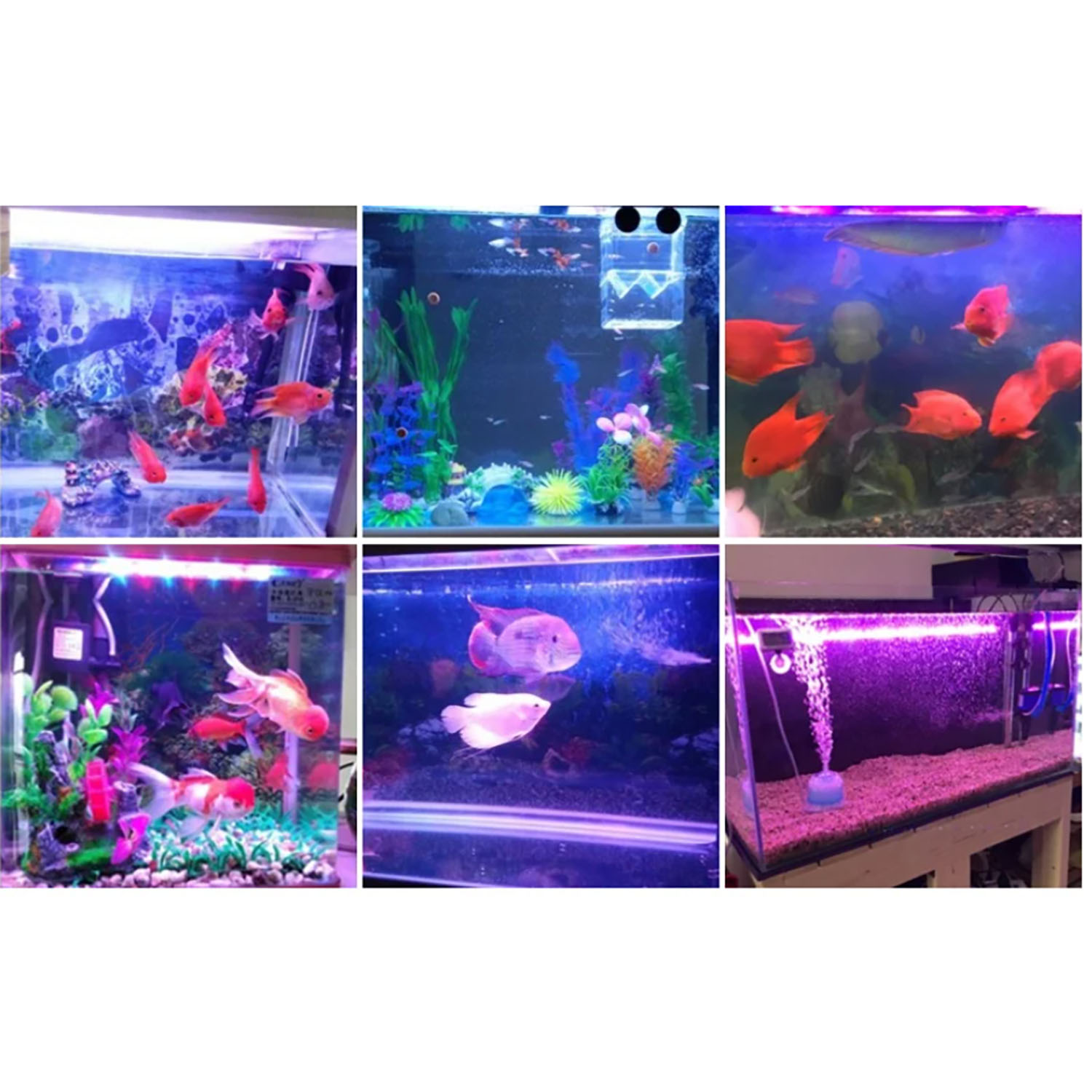 Aquarium Marine Blue - Illuminazione LED per Acquario Marino 50W