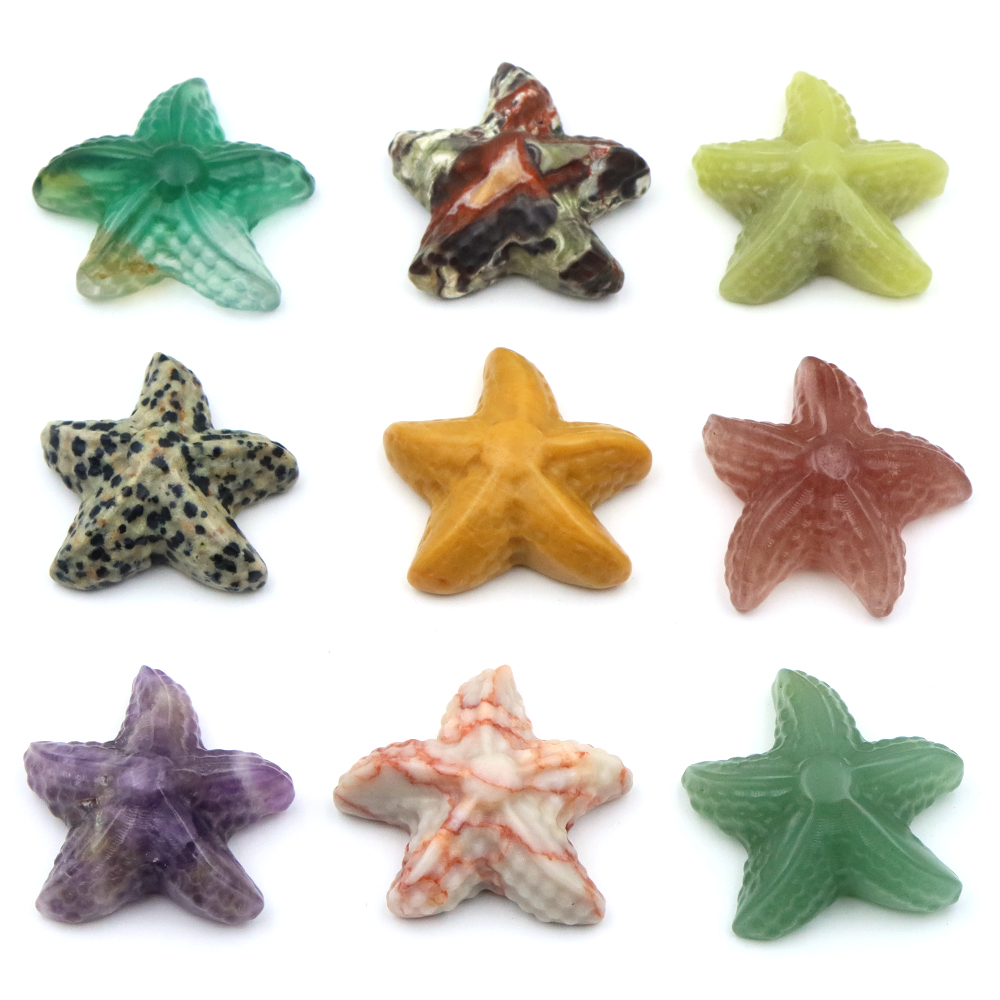 Marine Aquarium & Regional Centre Reviews - 35mm Statua a forma di stella