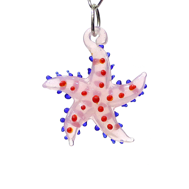Marine Aquarium & Regional Centre Reviews - Animali marini carini, fascino delle stelle