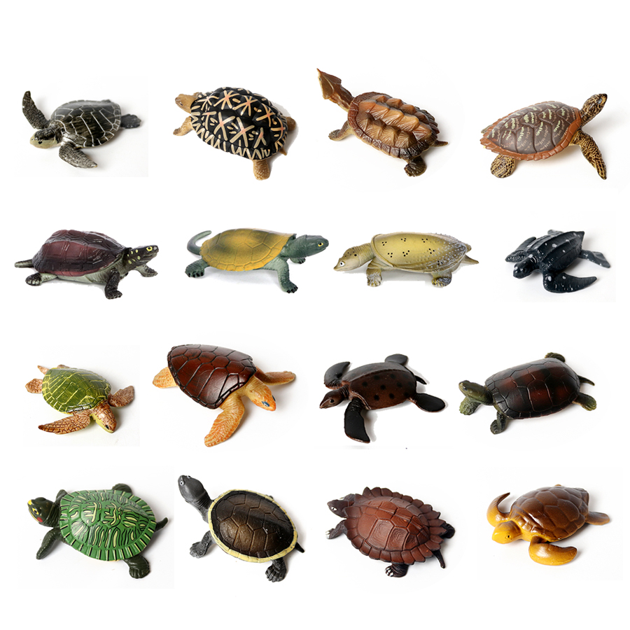 Marine Aquarium & Regional Centre Reviews - Miniature realistiche vita marina modello di