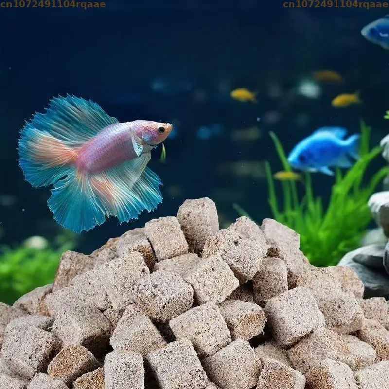 Cubetti di larve di sangue lio - Marine Aquarium Worms recensione e prezzo