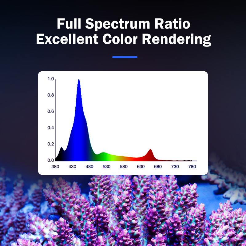 Lampada LED KASSRAY T169/T215  - Marine Aquarium & Regional Centre Reviews recensione e prezzo
