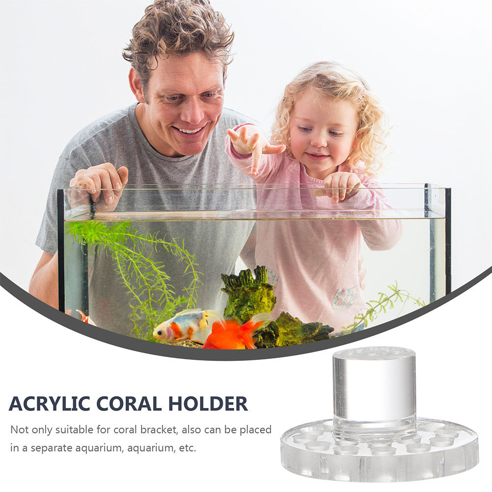 10 Pezzi Base Rotonda Traspare - Marine Aquarium Reef recensione e prezzo