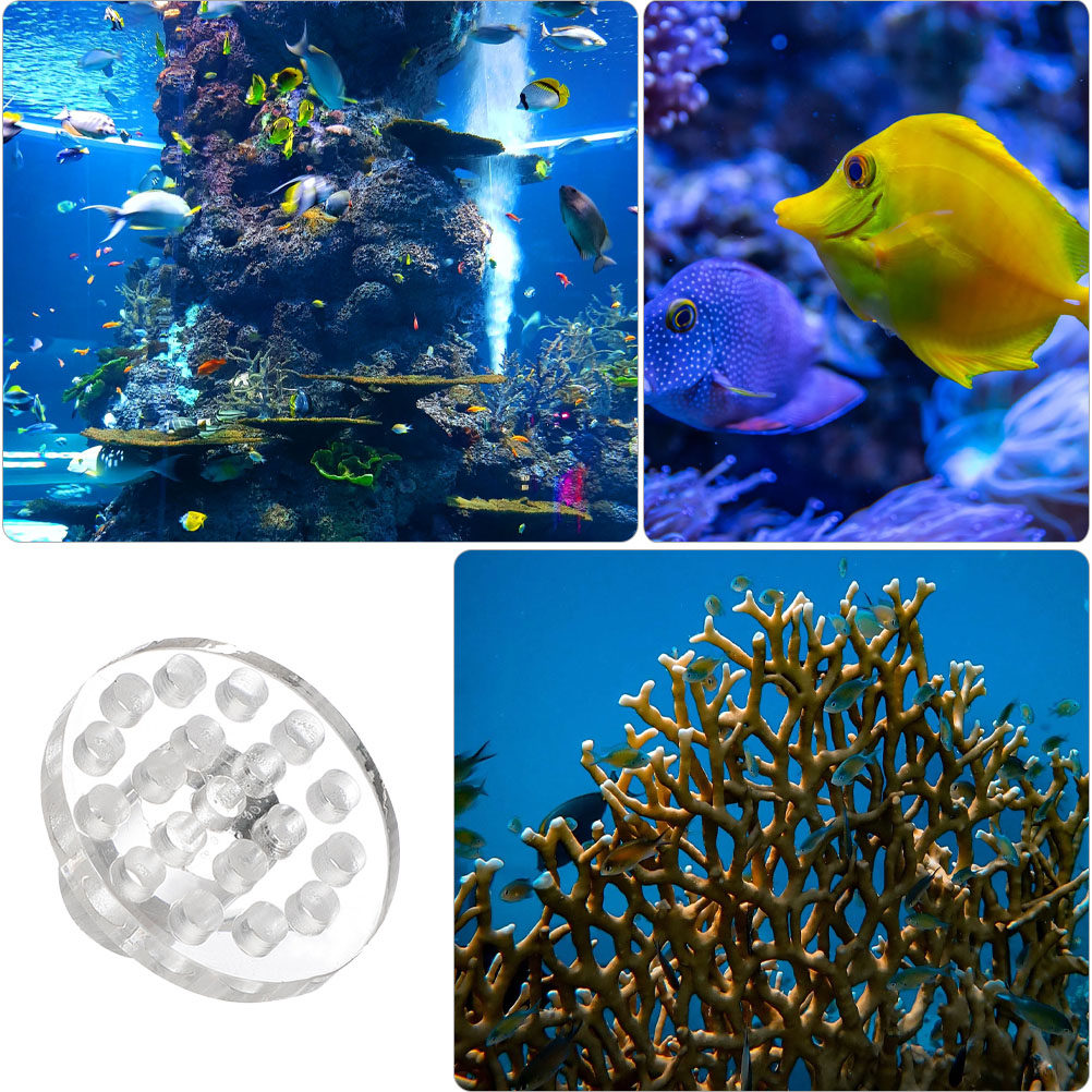 10 Pezzi Base Rotonda Traspare - Marine Aquarium Reef recensione e prezzo