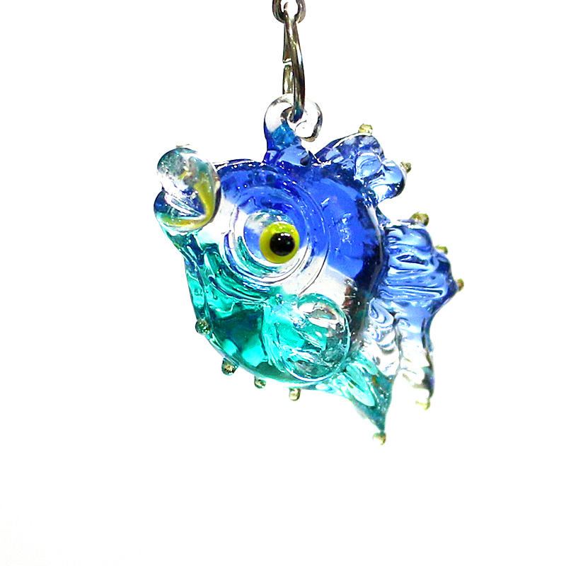 2 pezzi piccoli pesci marini c - Marine Aquarium Europe recensione e prezzo