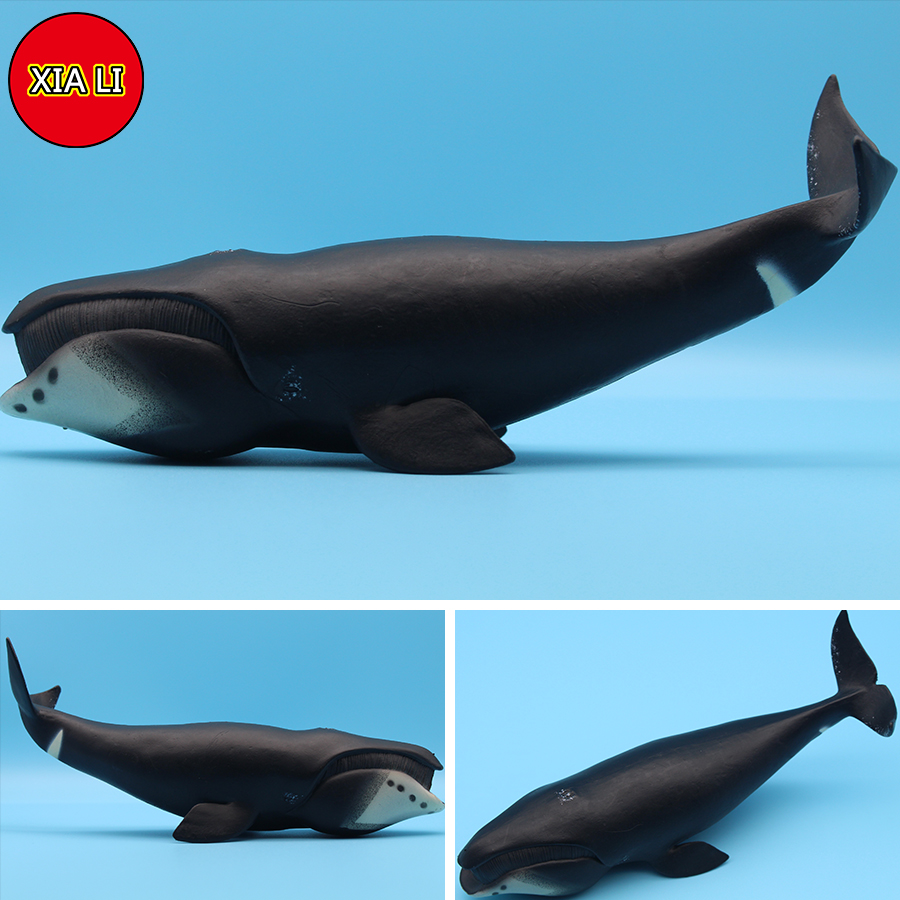 Modellini di Animali Marini: O - Aquarium Marine Blue recensione e prezzo