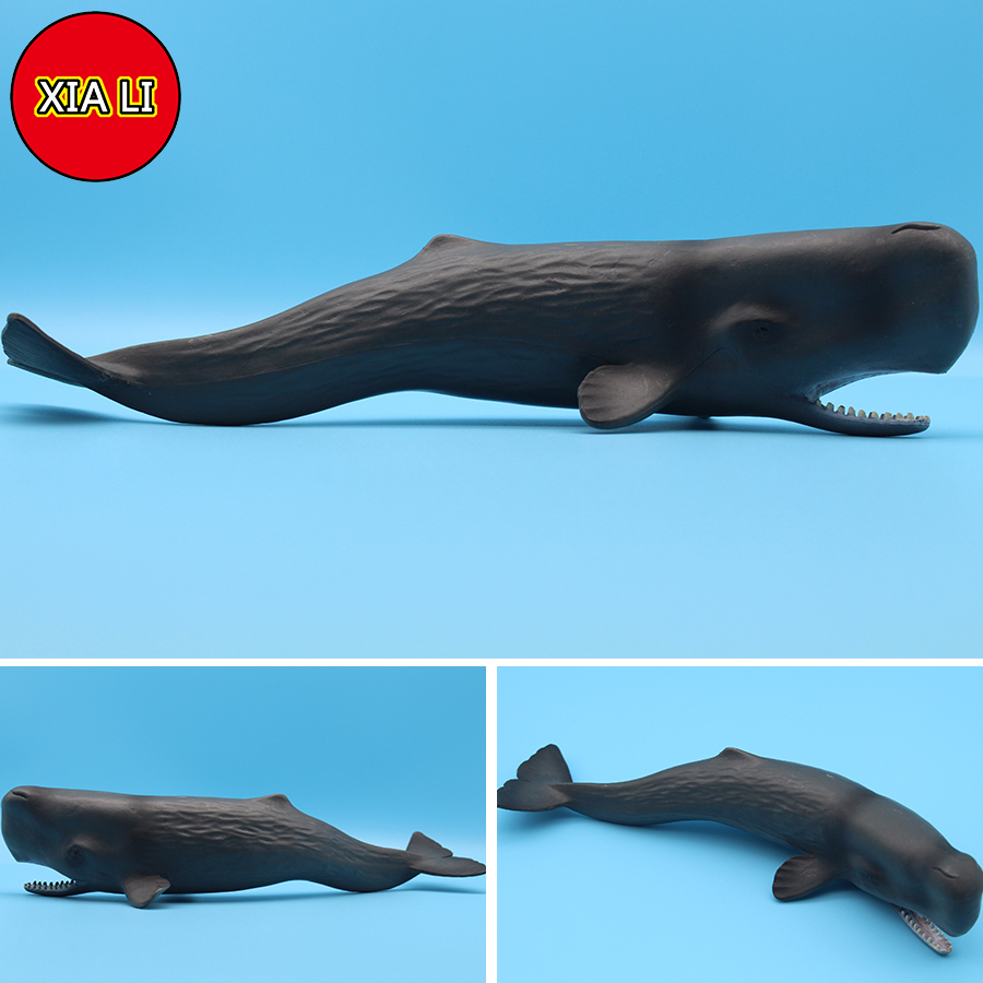 Modellini di Animali Marini: O - Aquarium Marine Blue recensione e prezzo