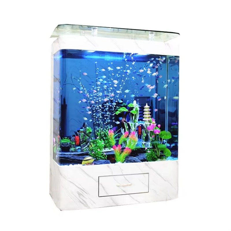 Acquario in Vetro da 200 Gallo - Marine Aquarium Design recensione e prezzo