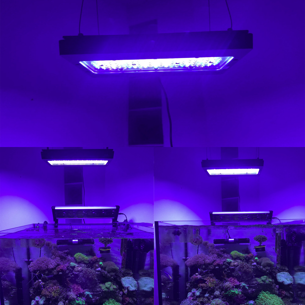 A8se Pro II MAX Blu 240W Luce  - Aquarium Marine Blue recensione e prezzo