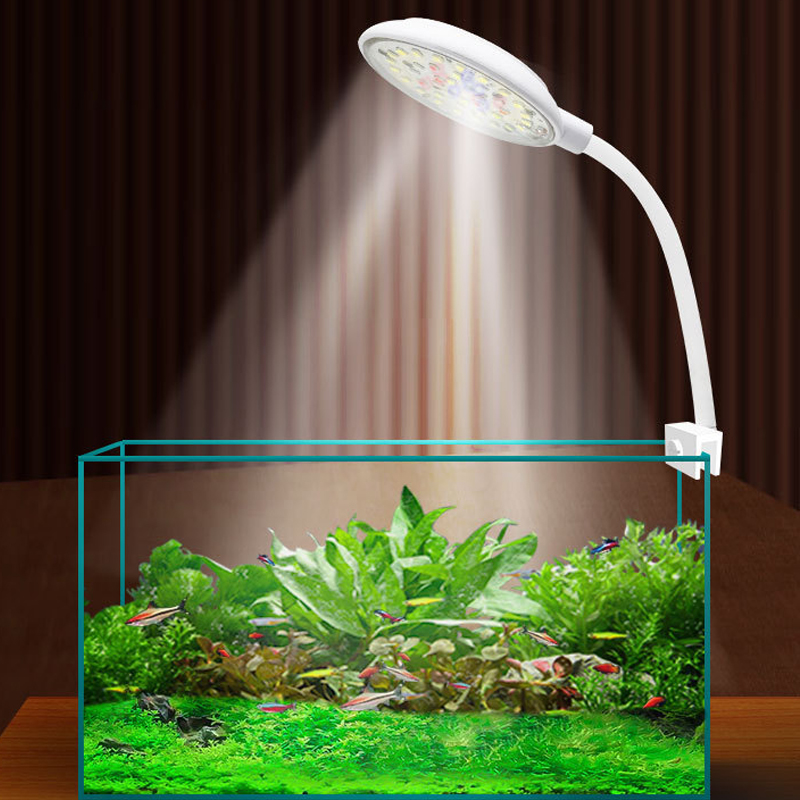 USB Acquario Piccola Clip Luce - Marine Aquarium Water Change recensione e prezzo