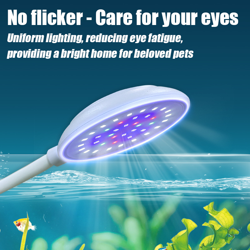 USB Acquario Piccola Clip Luce - Marine Aquarium Water Change recensione e prezzo