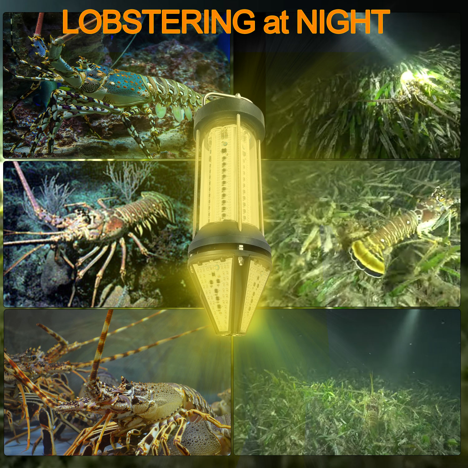 Luce Subacquea Verde Blu Bianc - Aquarium Marine Blue recensione e prezzo