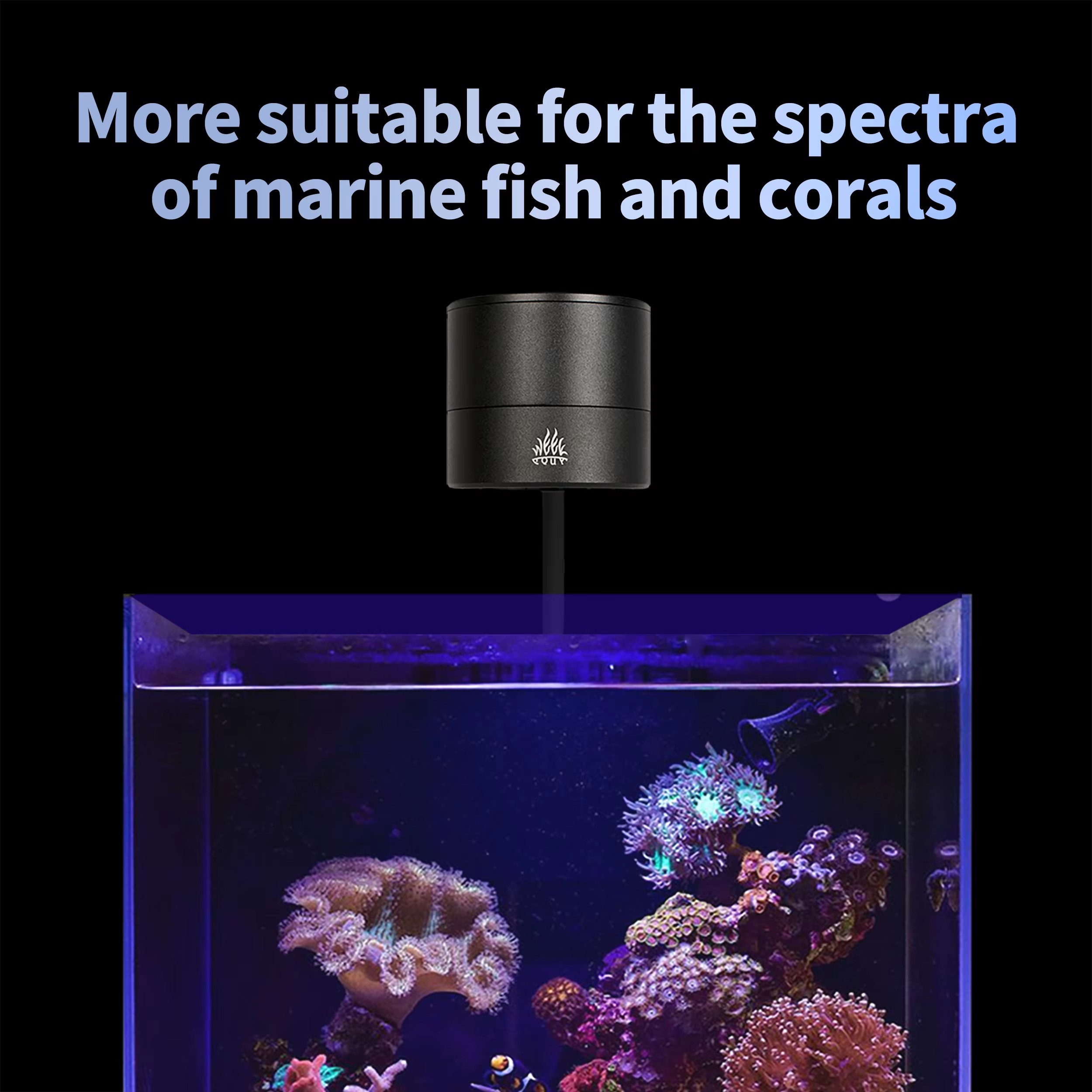 Lampada LED WEEK AQUA per Acqu - Aquarium Marine Blue recensione e prezzo