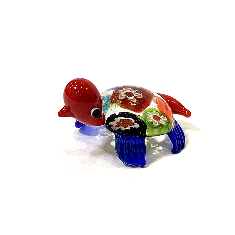 Creative Carino Tartaruga di M - Marine Aquarium Europe recensione e prezzo