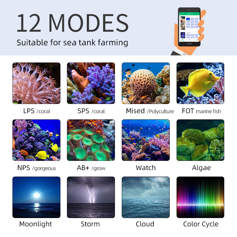 ZXY Vendita Calda WEEKAQUA Z25 - Aquarium Marine Blue recensione e prezzo
