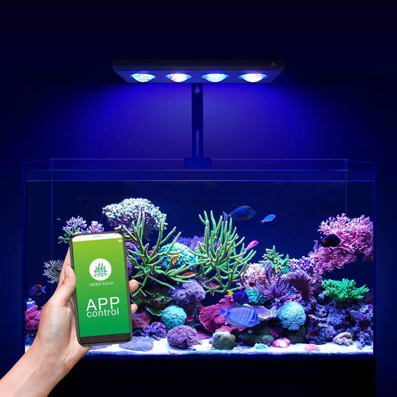 ZXY Vendita Calda WEEKAQUA Z25 - Aquarium Marine Blue recensione e prezzo