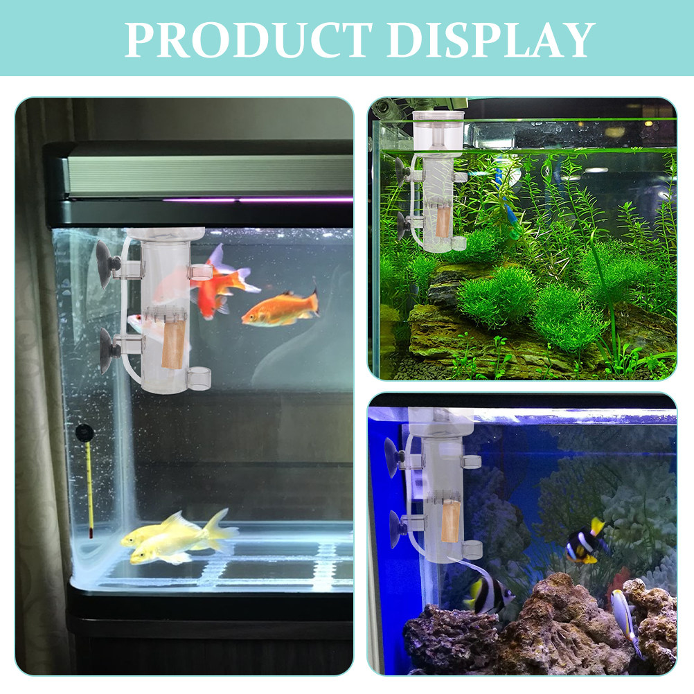 Skimmer per Proteine in Acrili - Marine Aquarium & Regional Centre Reviews recensione e prezzo
