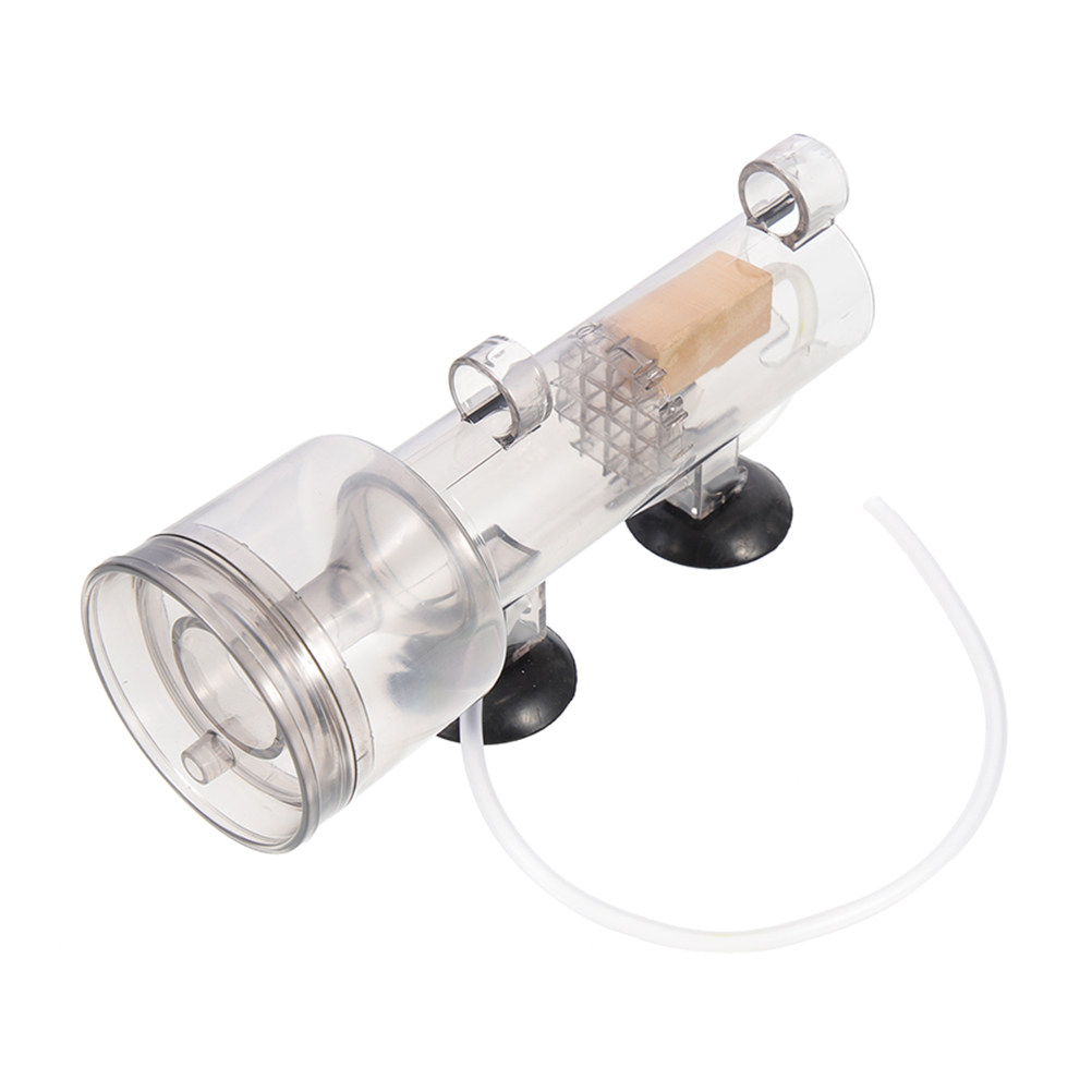 Skimmer per Proteine in Acrili - Marine Aquarium & Regional Centre Reviews recensione e prezzo