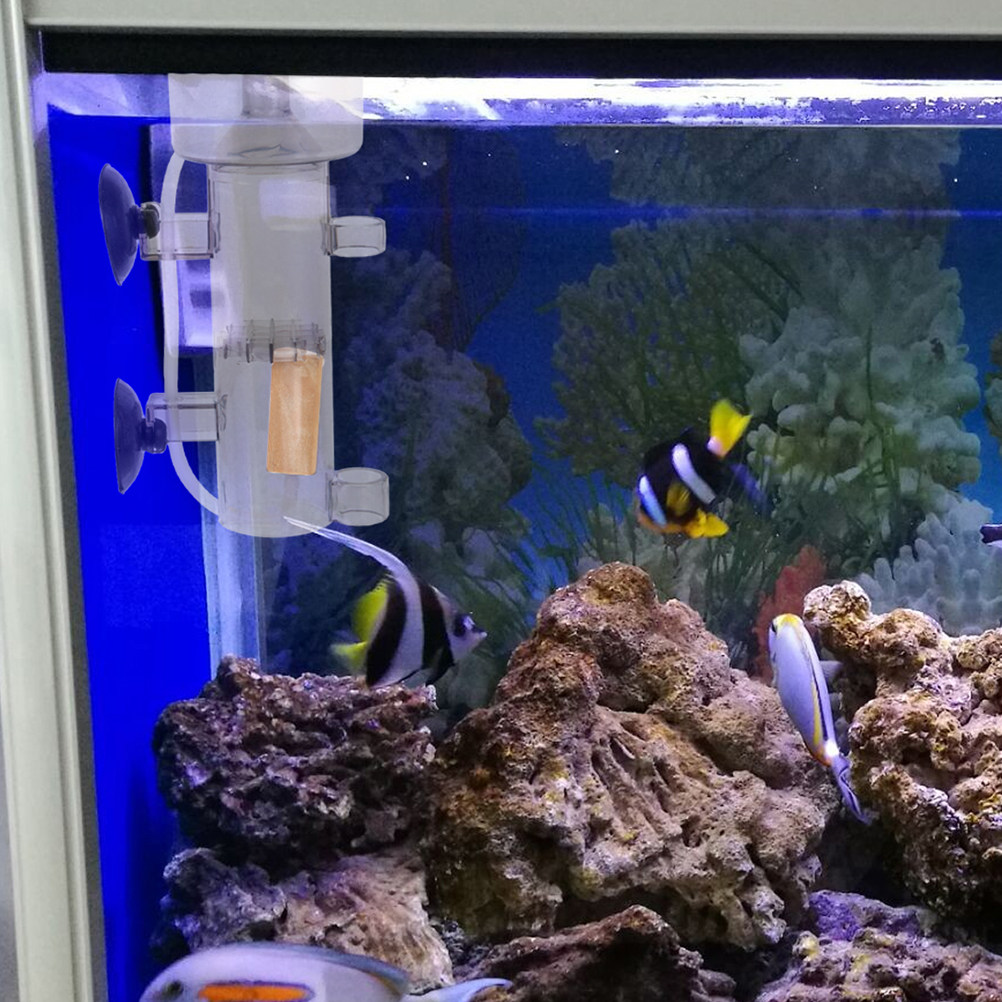 Skimmer per Proteine in Acrili - Marine Aquarium & Regional Centre Reviews recensione e prezzo
