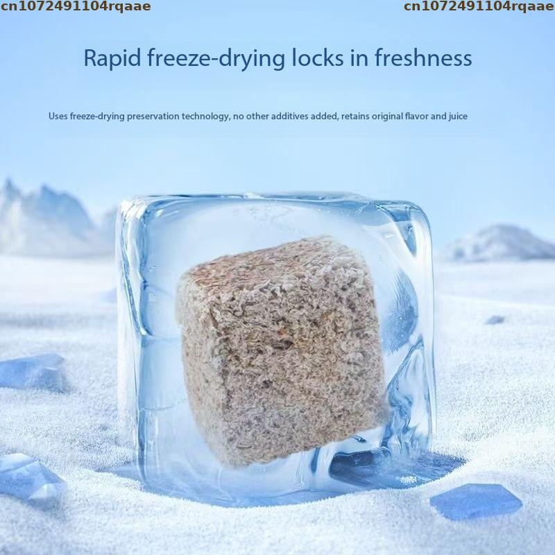 Cubetti di larve di sangue lio - Marine Aquarium Worms recensione e prezzo