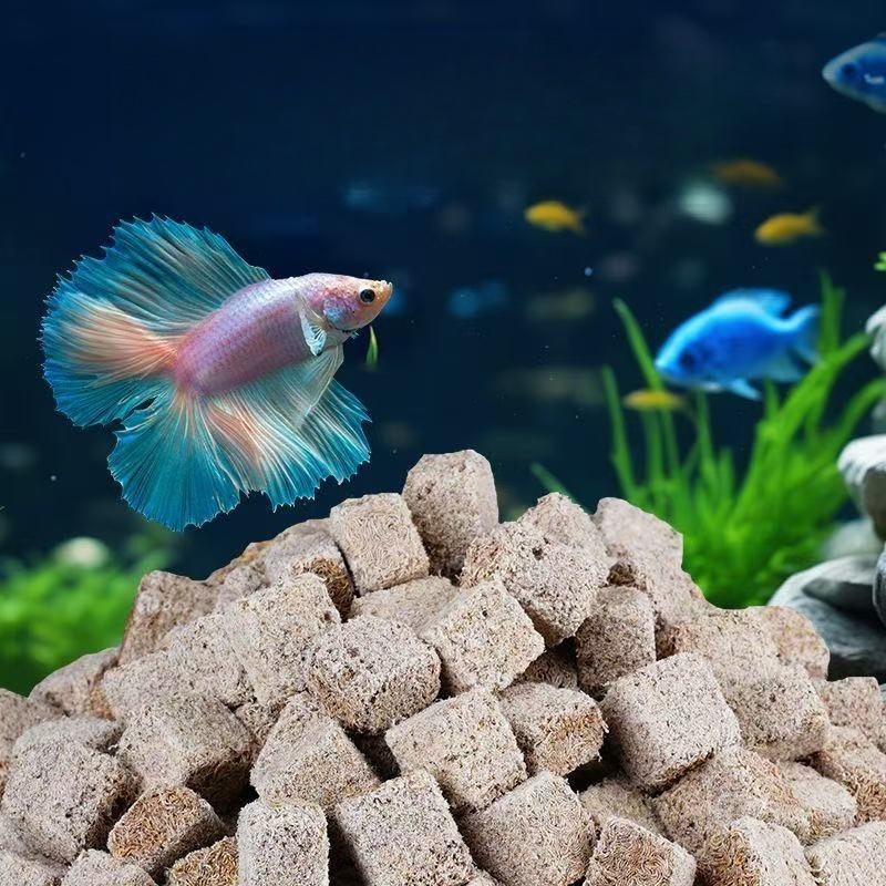 Verme di sangue liofilizzate n - Marine Aquarium Worms recensione e prezzo