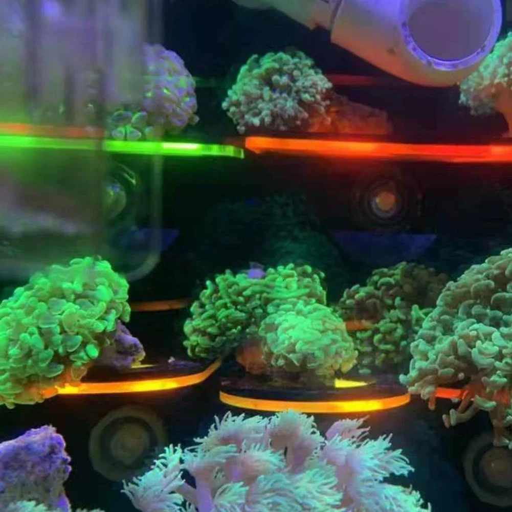 Staffe per corallo fluorescent - Marine Aquarium Reef recensione e prezzo