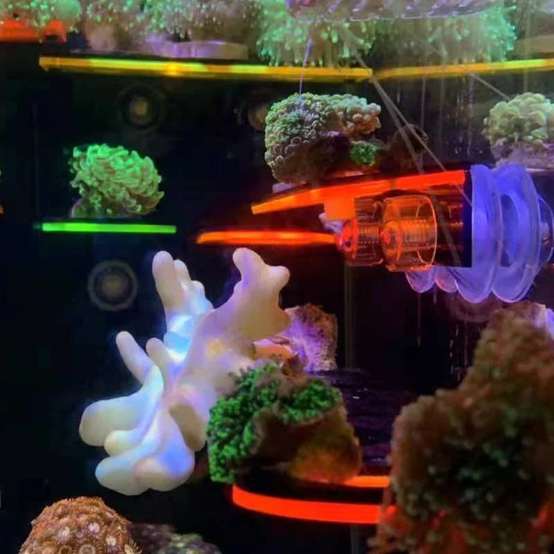 Staffe per corallo fluorescent - Marine Aquarium Reef recensione e prezzo