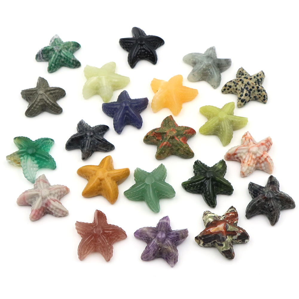 35mm Statua a forma di stella  - Marine Aquarium & Regional Centre Reviews recensione e prezzo