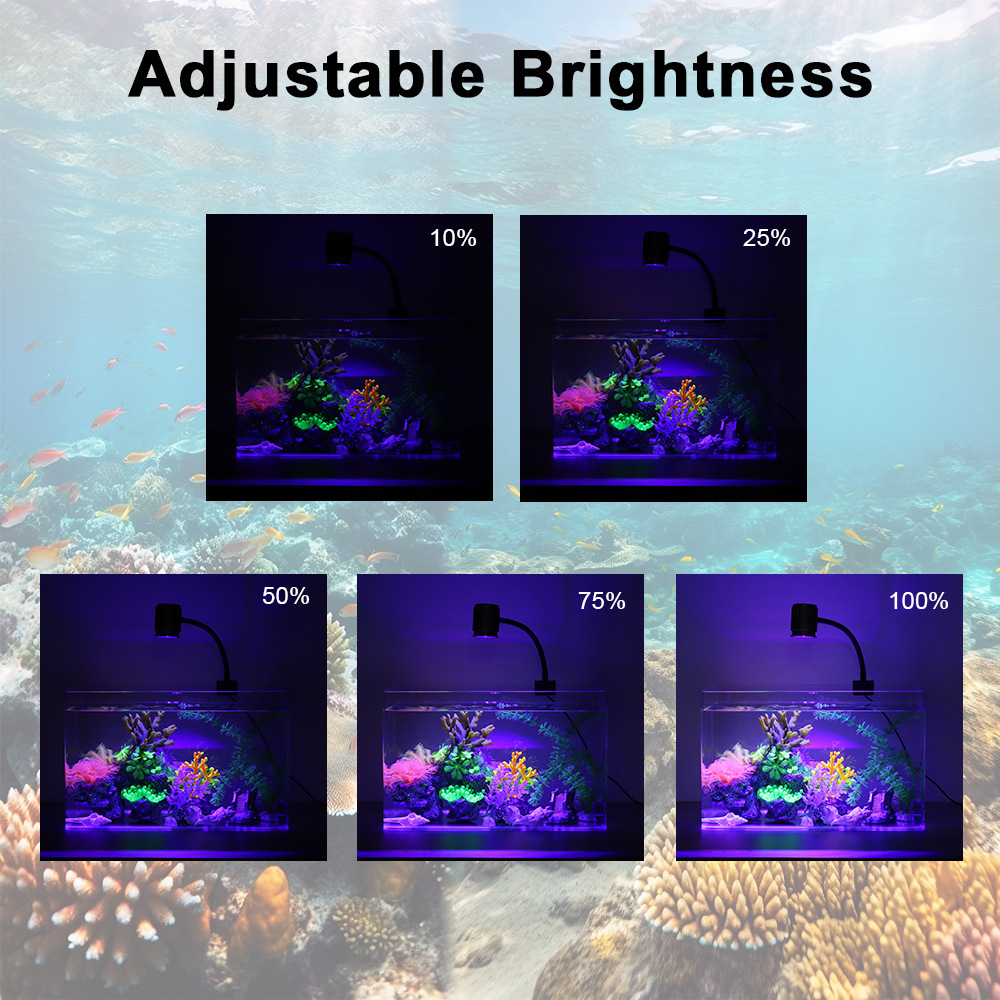 Lampada LED per Acquario a Spe - Marine Aquarium Reef recensione e prezzo