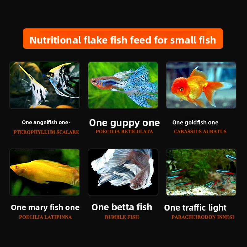 DaJiaWa Spirulina Flake Fish F - Tetra Food Betta Flakes recensione e prezzo