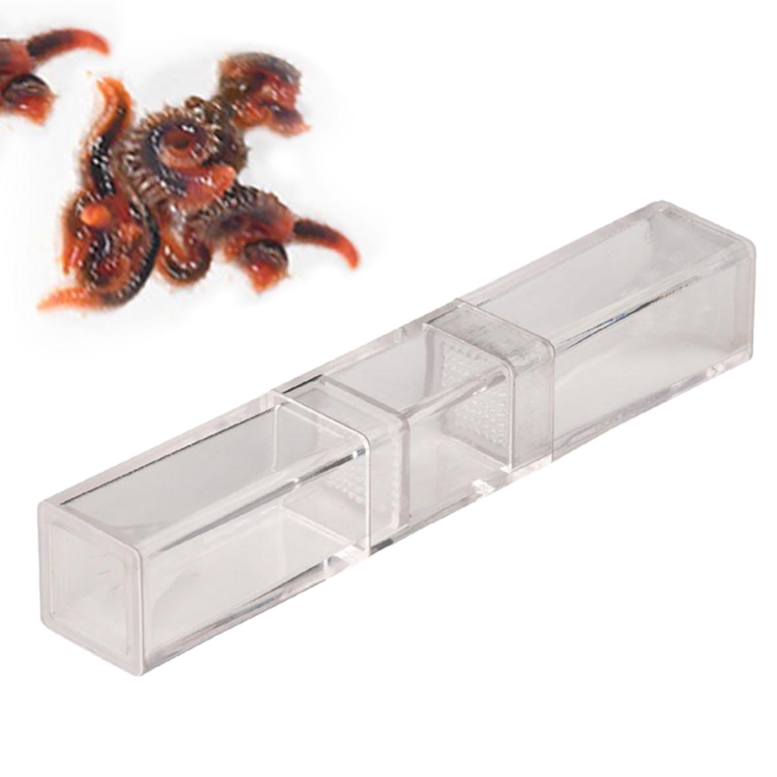 Acquario Planaria Catcher per  - Marine Aquarium Worms recensione e prezzo