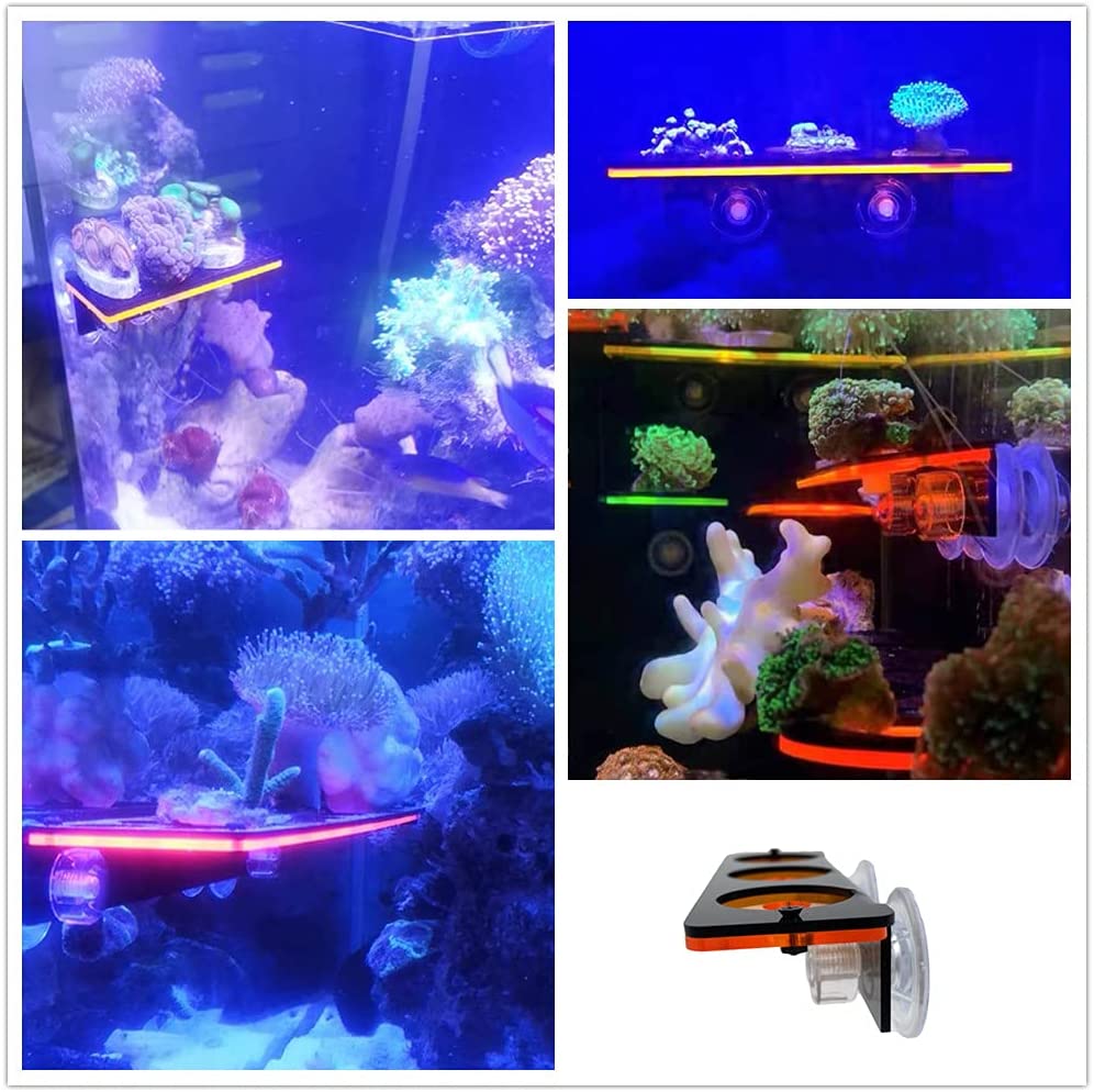 Staffa per tappo Frag in coral - Marine Aquarium Design recensione e prezzo