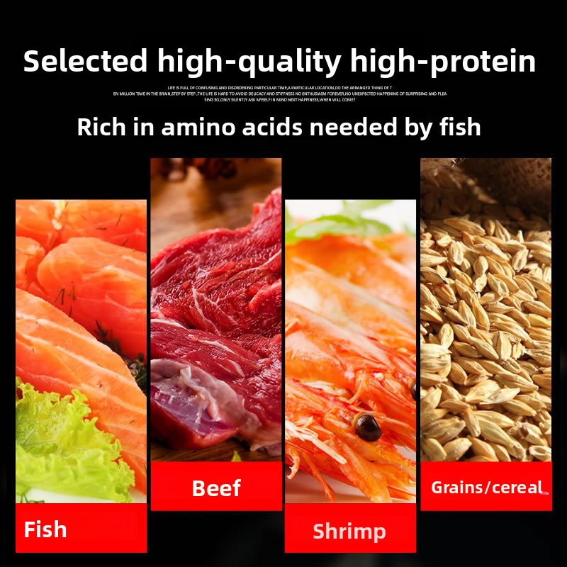 Mangime per Pesci Ornamentali  - Marine Aquarium Design recensione e prezzo