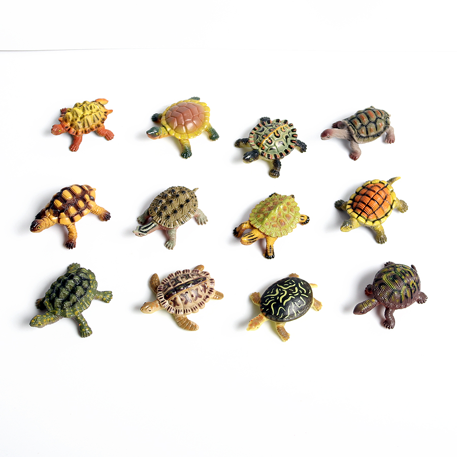 Miniature realistiche vita mar - Marine Aquarium & Regional Centre Reviews recensione e prezzo