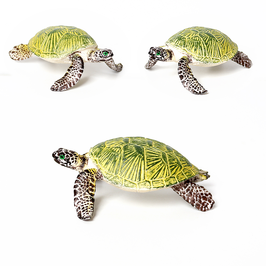 Miniature realistiche vita mar - Marine Aquarium & Regional Centre Reviews recensione e prezzo